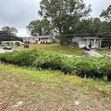 Overgrown-Hedge-PruningTrimming-Weeding-in-Coventry-RI 2